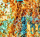 Bob Callender's Connection for sale at the Milan Art Gallery in Downtown Fort Worth Texas