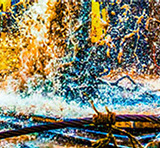 Bob Callender's Connection 2 for sale at the Milan Art Gallery in Downtown Fort Worth Texas