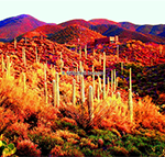 Karen Mitchell's, Painted Desert Print for sale at the Milan Art Gallery in Downtown Fort Worth Texas