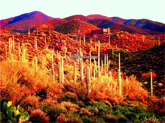 James Hinkle's Van Cliburn ?? x ?? oil painting for sale at the Milan Art Gallery in Downtown Fort Worth Texas