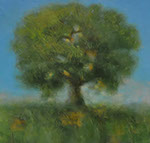 Thomas Stotts' Tranquility 16 x 40 for sale at the Milan Art Gallery in Downtown Fort Worth Texas