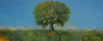 Thomas Stotts' Tranquility 16 x 40 for sale at the Milan Art Gallery in Downtown Fort Worth Texas
